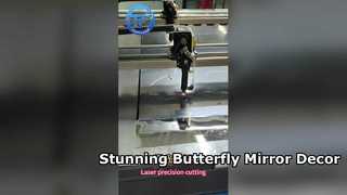 butterfly two-way mirror